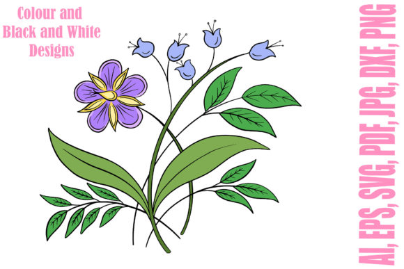 Floral Line Art & Colour Flowers Graphics
